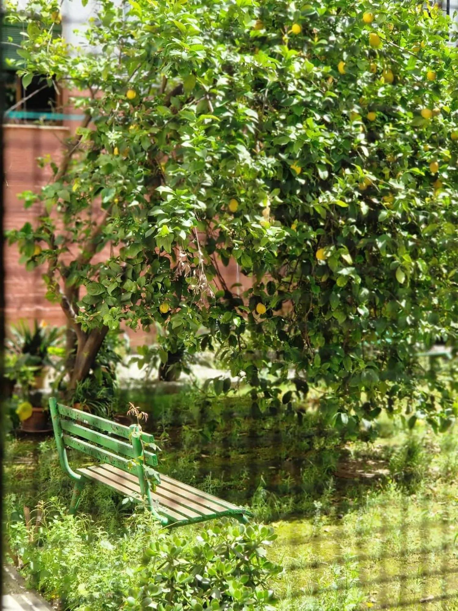 Apartment Bright In With Private Garden Seville