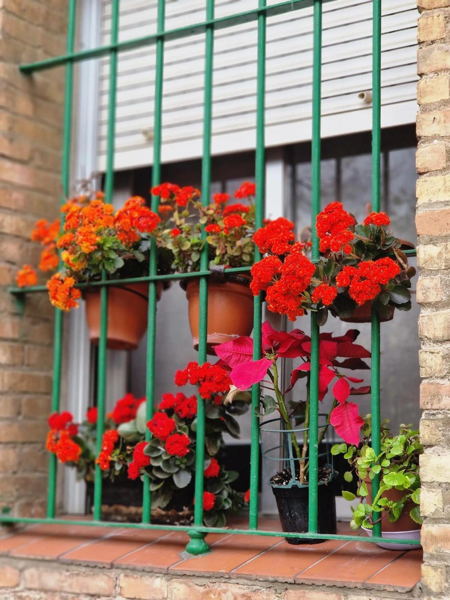 Appartement Bright In With Private Garden