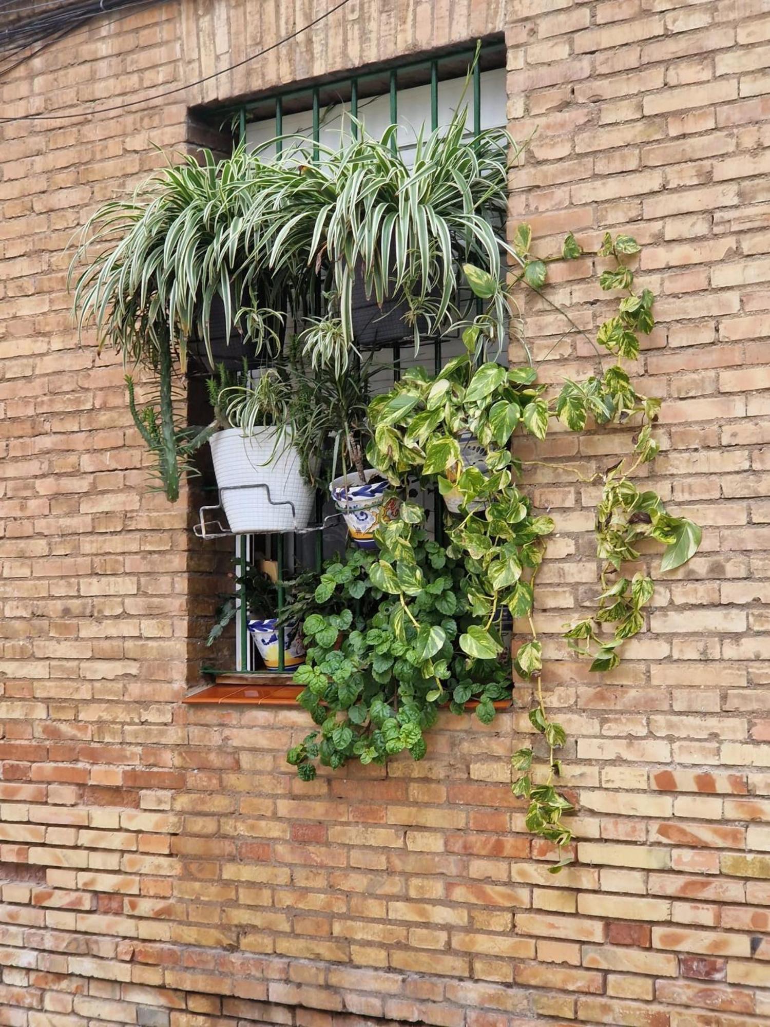 Appartement Bright In With Private Garden *