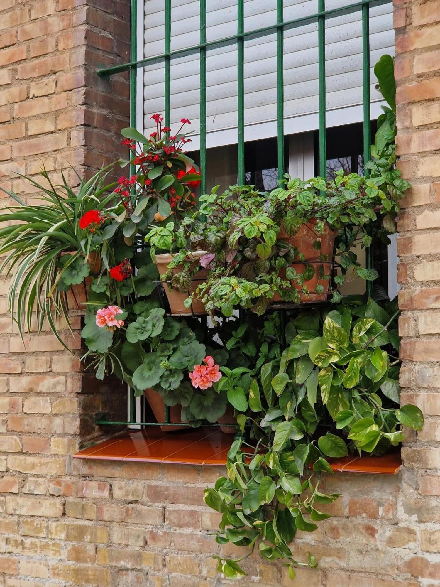 Appartement Bright In With Private Garden